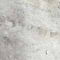 Ichnofossils