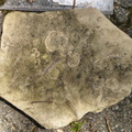 Ichnofossils