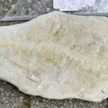 Ichnofossils