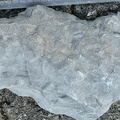 Ichnofossils 