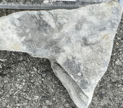 Ichnofossils 