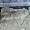 Ichnofossils