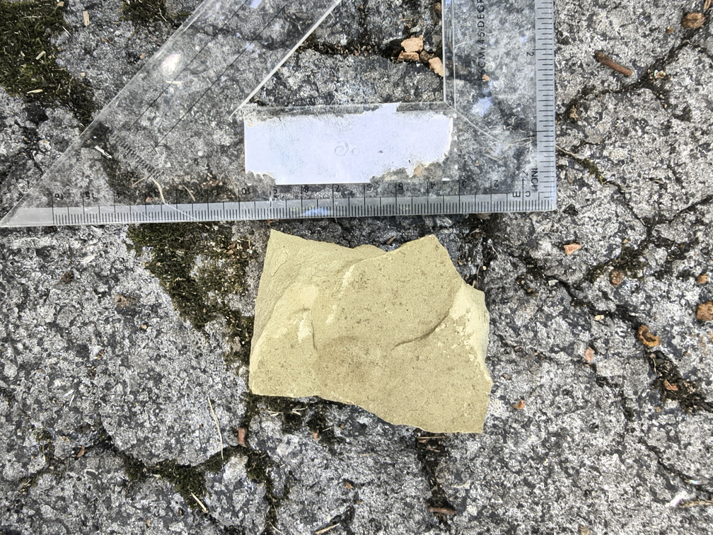 Ichnofossils