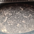 LE13 Crinoidal Packstone Mixed Crinoid Columnals and Ossicles
