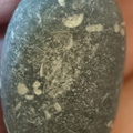 LE13 Crinoidal Packstone Mixed Crinoid Columnals and Ossicles