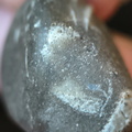LE10 Fossil Packstone Worn specimen containing possible crinoids, bryozoan fragments  and brachiopod shell material