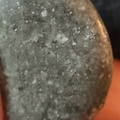 LE26 Crinoid Fragments