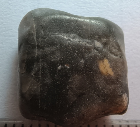 LE38 Crinoid Piece