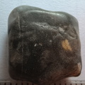LE38 Crinoid Piece