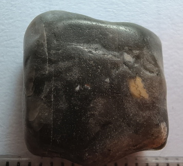 LE38 Crinoid Piece