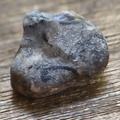 LE25 Brachiopod Fragment
