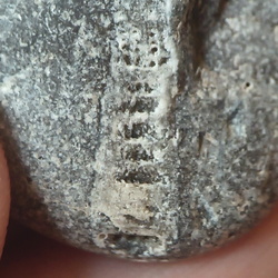LE46