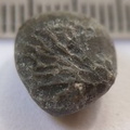 LE59 Fossil Fragment (Indet.; cf. Coral