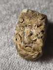 SRL27 Hash, Crinoid and possible brachiopod and bryozoan fragments
