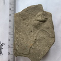 IMG 20251116 102219875