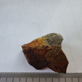 RR17 Orthoceratoid Nautiloid (cf. Michelinoceras)