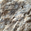SRL175 Bioclastic  Packstone (incl. crinoids and brachiopods)